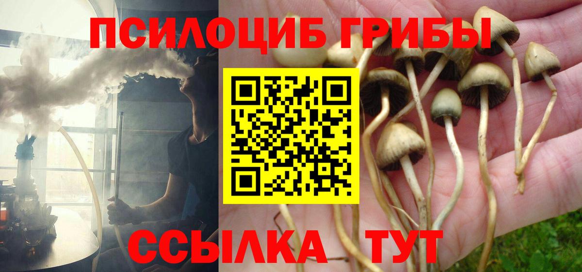 Псилоцибиновые грибы GOLDEN TEACHER Татарск