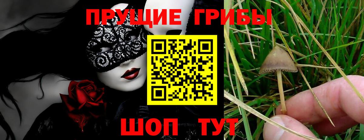 Татарск  цены   Вход с VPN  Псилоцибиновые грибы ЛСД 